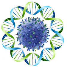 Institut Mérieux – KAVI-Institute of Clinical Research, University of Nairobi  Young Investigator Award – 2020