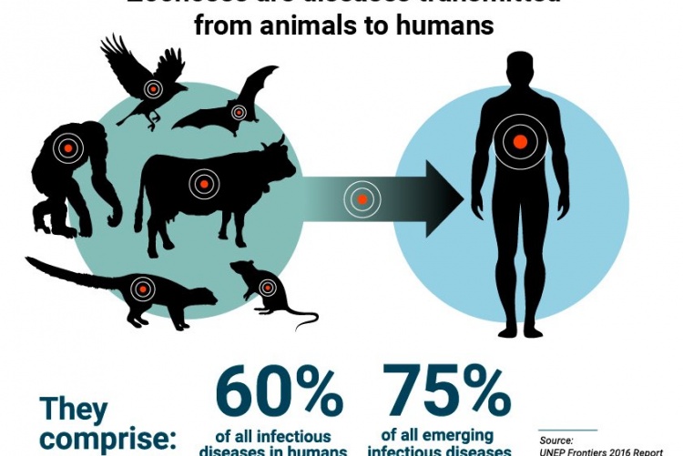 Transmission of zoonoses. (Photo courtesy of UNEP).