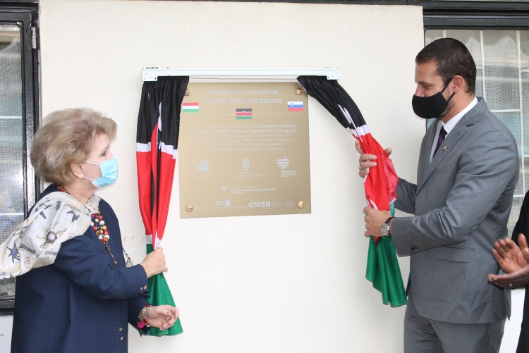 The unveilling of the plaque.
