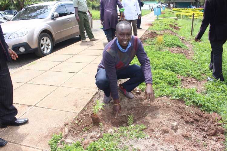 Staff takes part in tree planting at the CHS grounds.