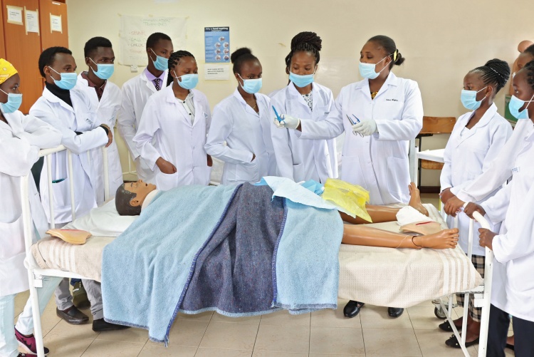 The Department of Nursing Sciences.