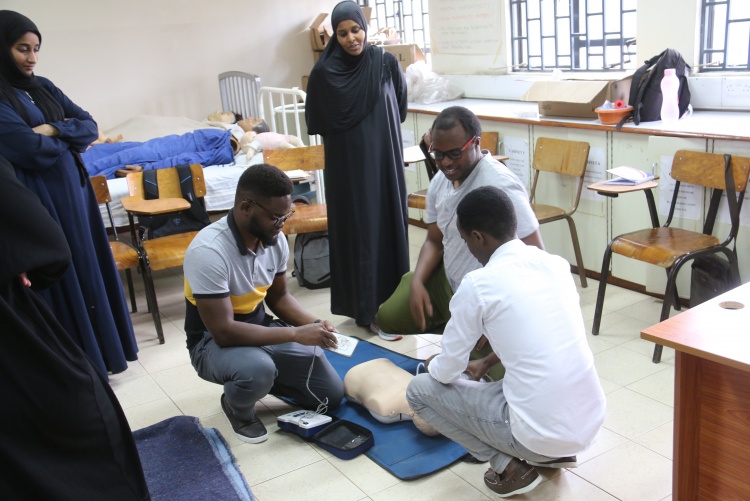 model resuscitation on an adult 