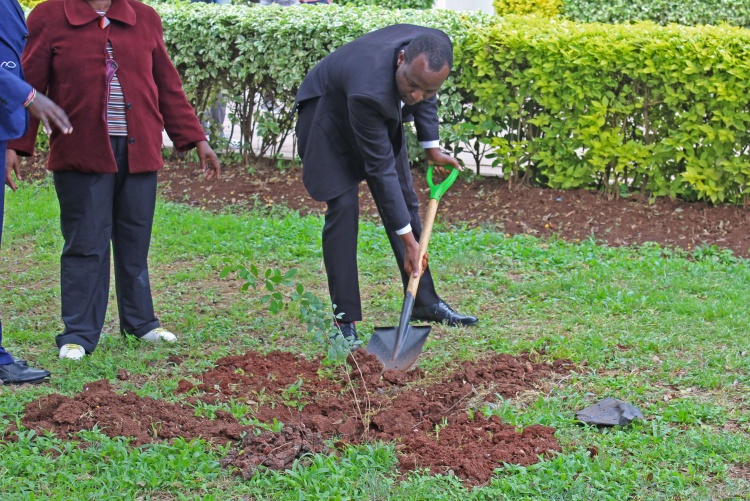FHS Staff and Students Tree Planting Exercise 