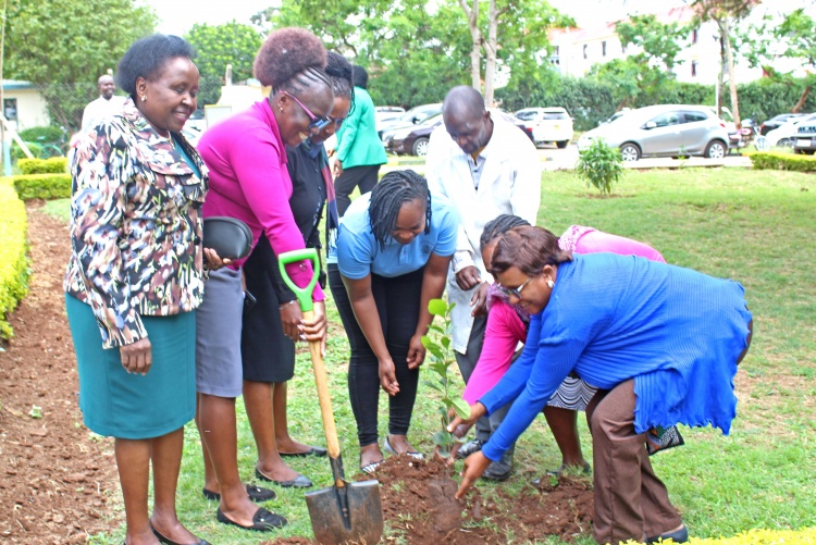 FHS Staff and Students Tree Planting Exercise 