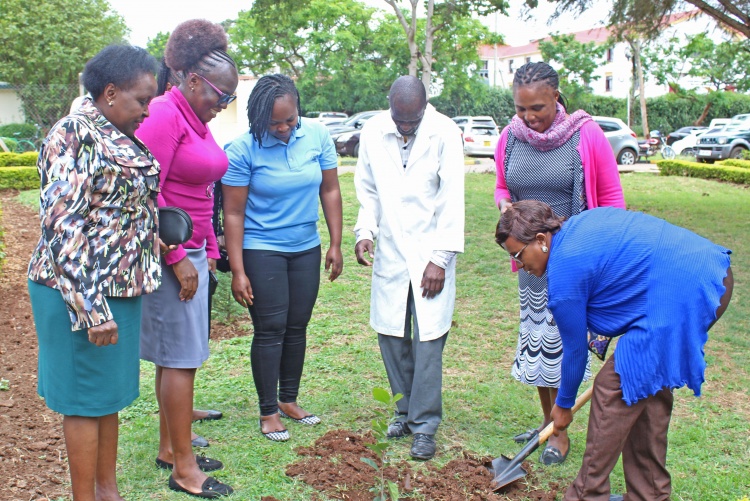 FHS Staff and Students Tree Planting Exercise 