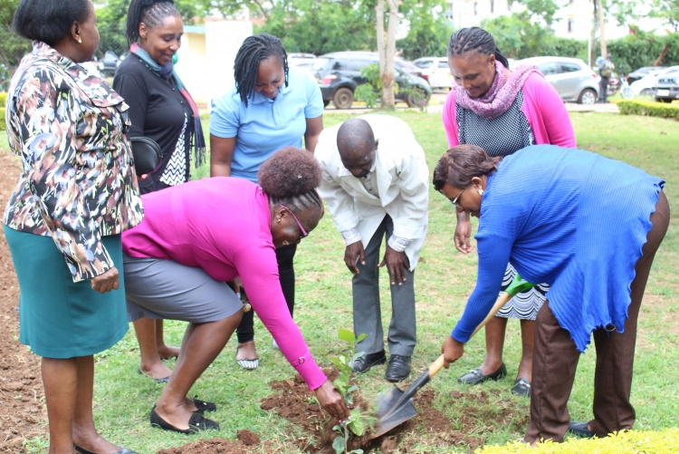 FHS Staff and Students Tree Planting Exercise 