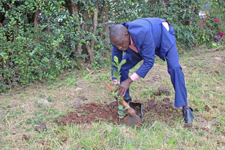 FHS Staff and Students Tree Planting Exercise 