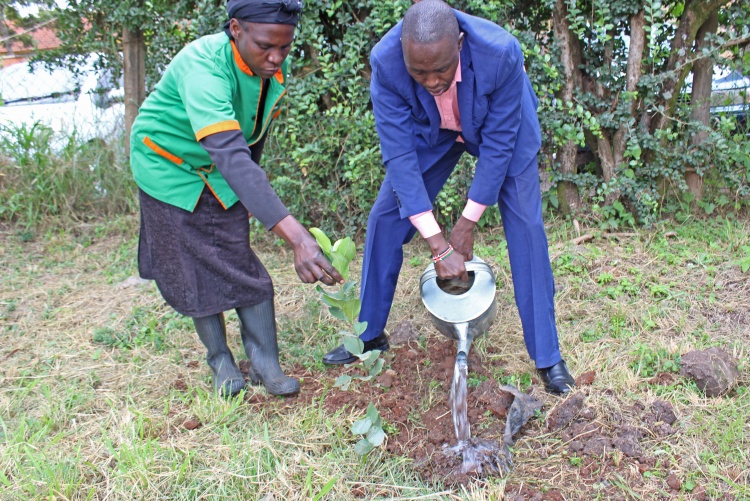 FHS Staff and Students Tree Planting Exercise 