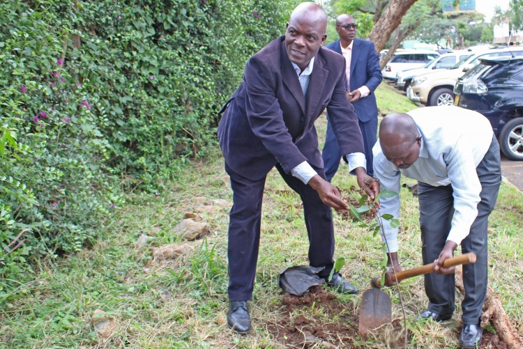 FHS Staff and Students Tree Planting Exercise 