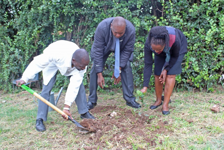 FHS Staff and Students Tree Planting Exercise 