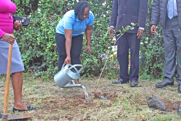 FHS Staff and Students Tree Planting Exercise 
