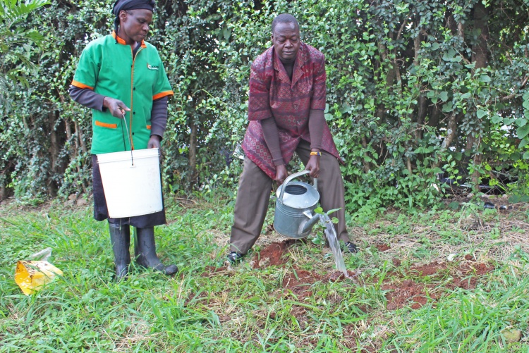 FHS Staff and Students Tree Planting Exercise 