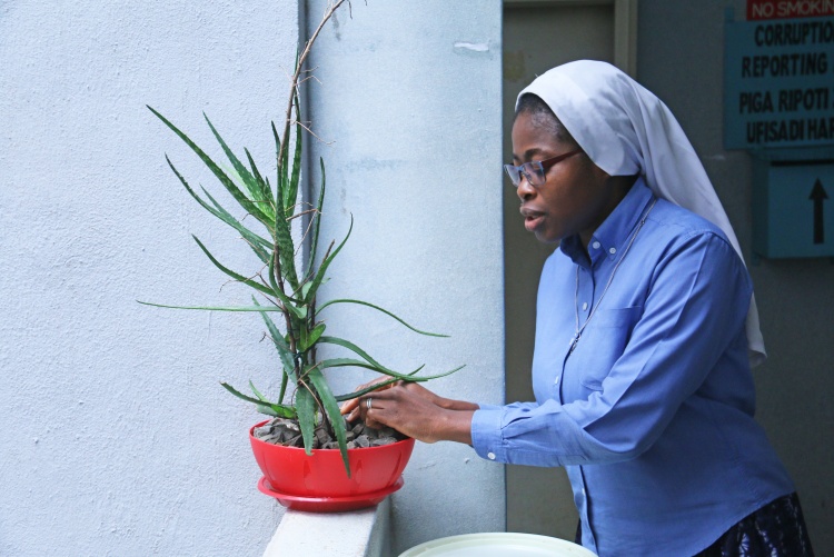 Sister Onu Theresa looks after one of the plants she planted at the Faculty of Health Sciences.