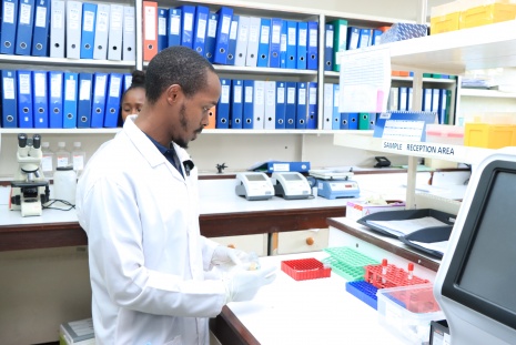 KAVI’s lab technicians demonstrating the testing process.