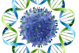 Institut Mérieux – KAVI-Institute of Clinical Research, University of Nairobi  Young Investigator Award – 2020