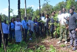 Faculty of Health Sciences staff take part in the University of Nairobi’s annual tree planting exercise at the Faculty of Agriculture, Upper Kabete Campus.